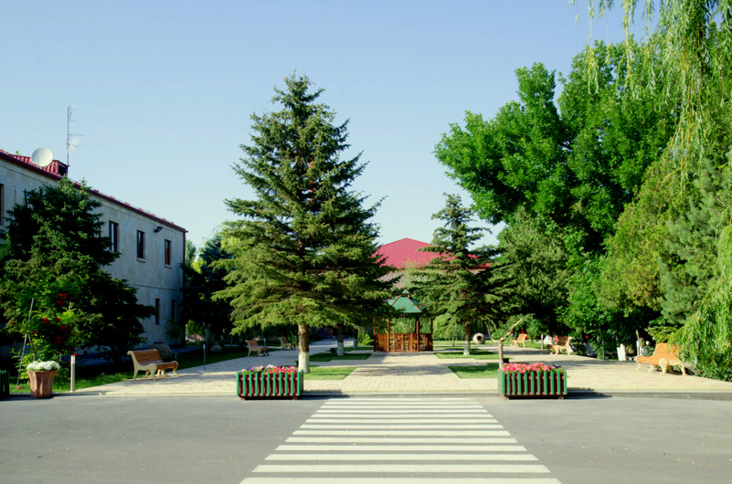 МАП.  Фото из интернета