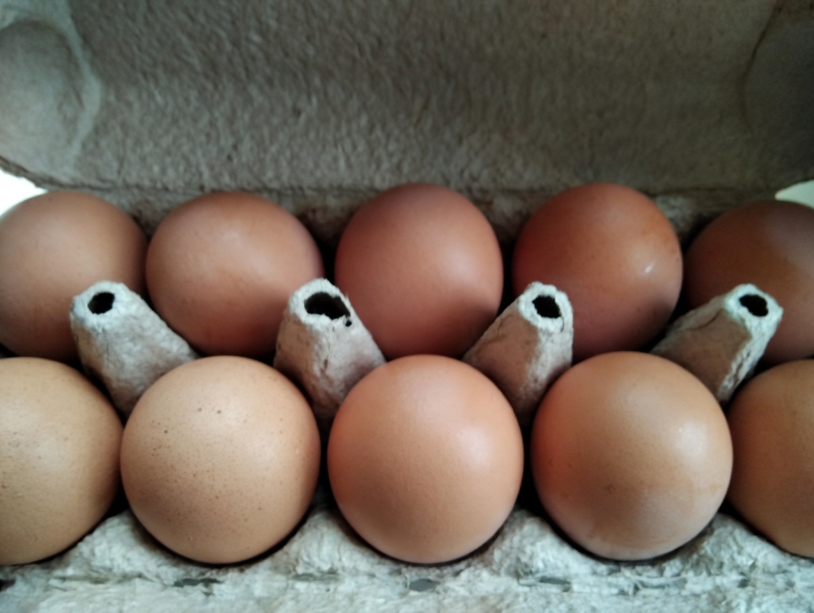 Поставщик яиц в нашей семье – моя любимая свекровь, поэтому это один из тех продуктов, на которые мы нетратим ни копейки.