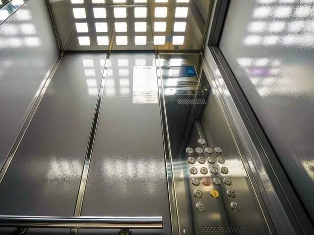    Фото: МАХ/"Городское хозяйство Москвы"