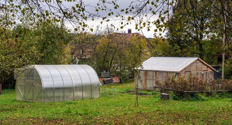    Медиасток.рф