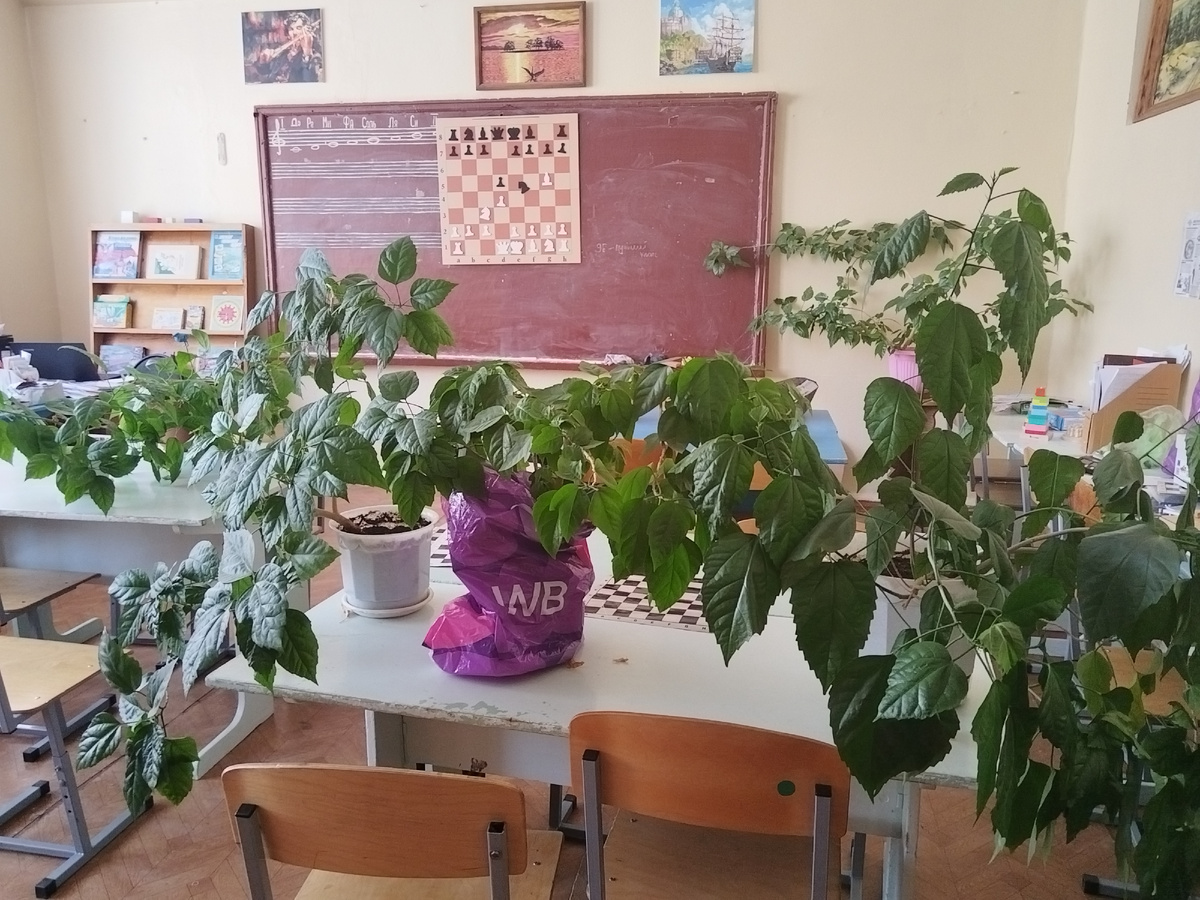 Цветы собраны в дорогу