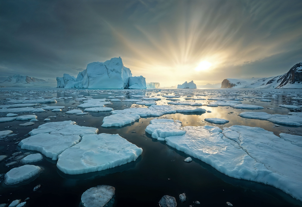    ru.freepik.com / freepik