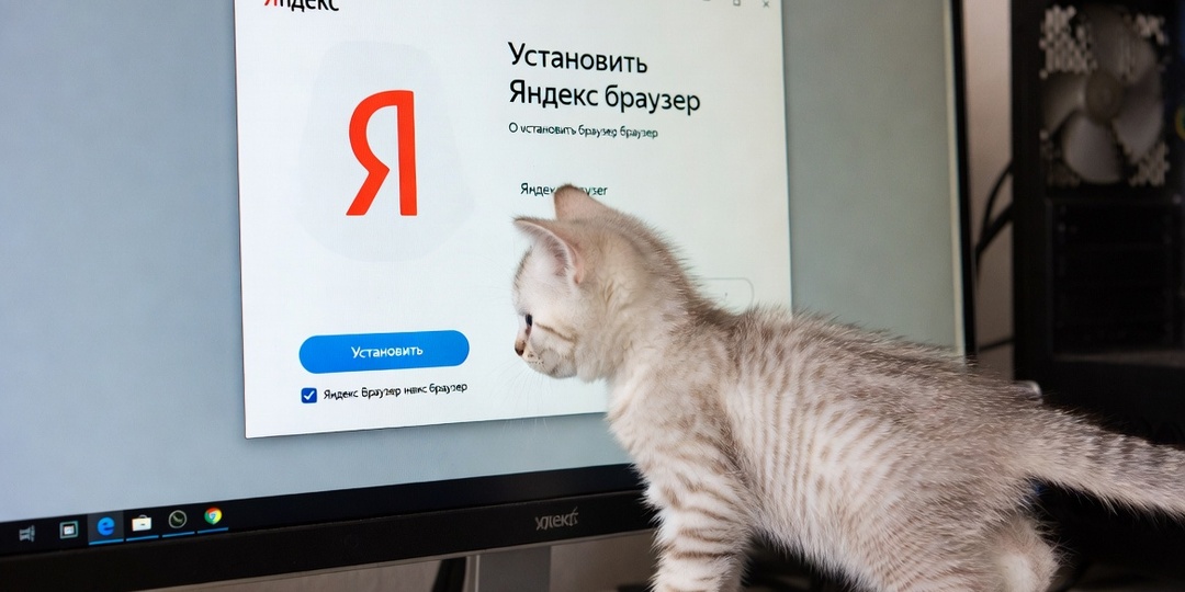 5 причин поставить Яндекс Браузер в 2026 году (и полуить бонус при установке)