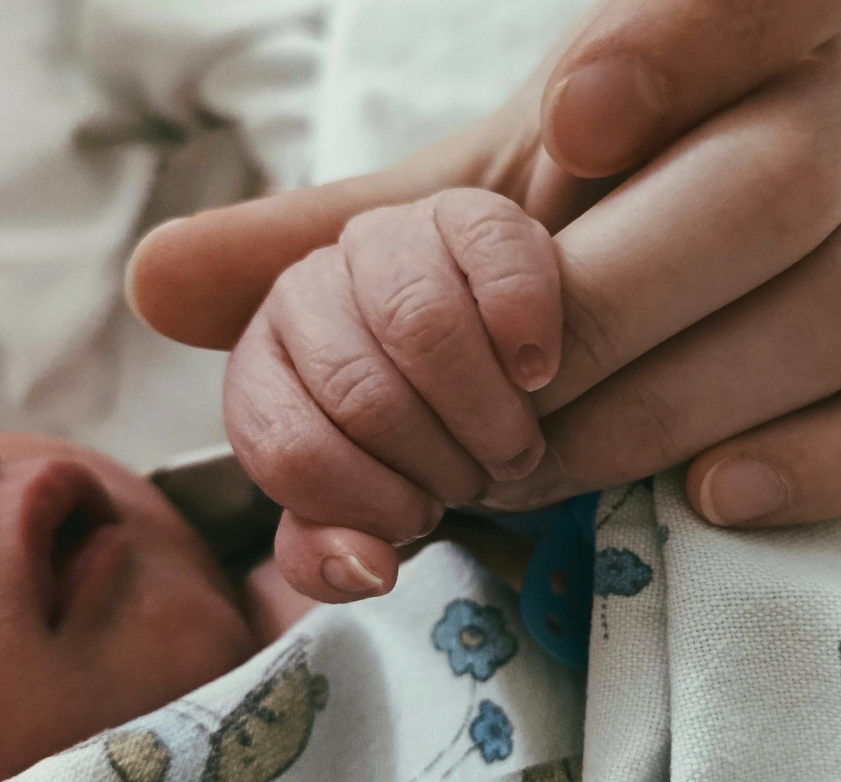 Фото предоставлено автором отзыва.