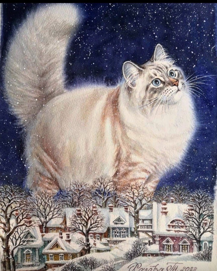 Все фото из интернета. Котик размышляет над вопросом)) 