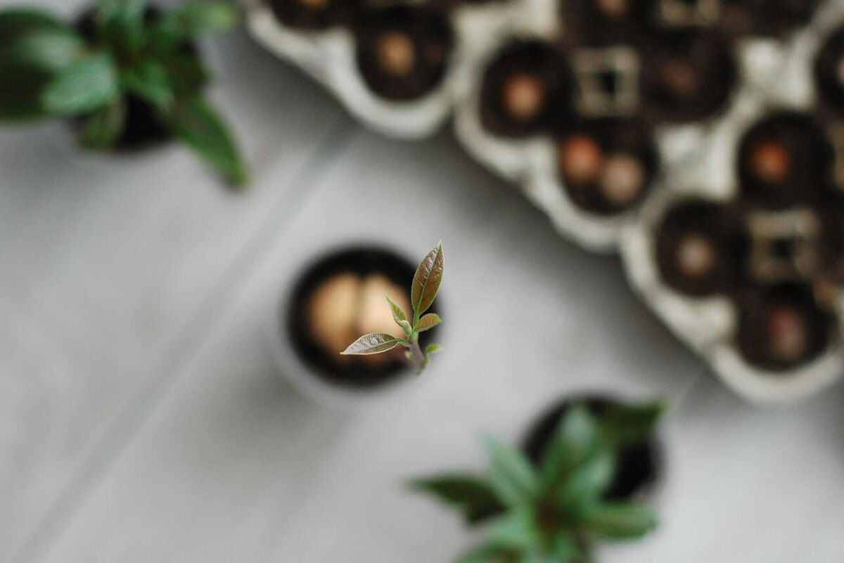     123RF/legion-media.ru