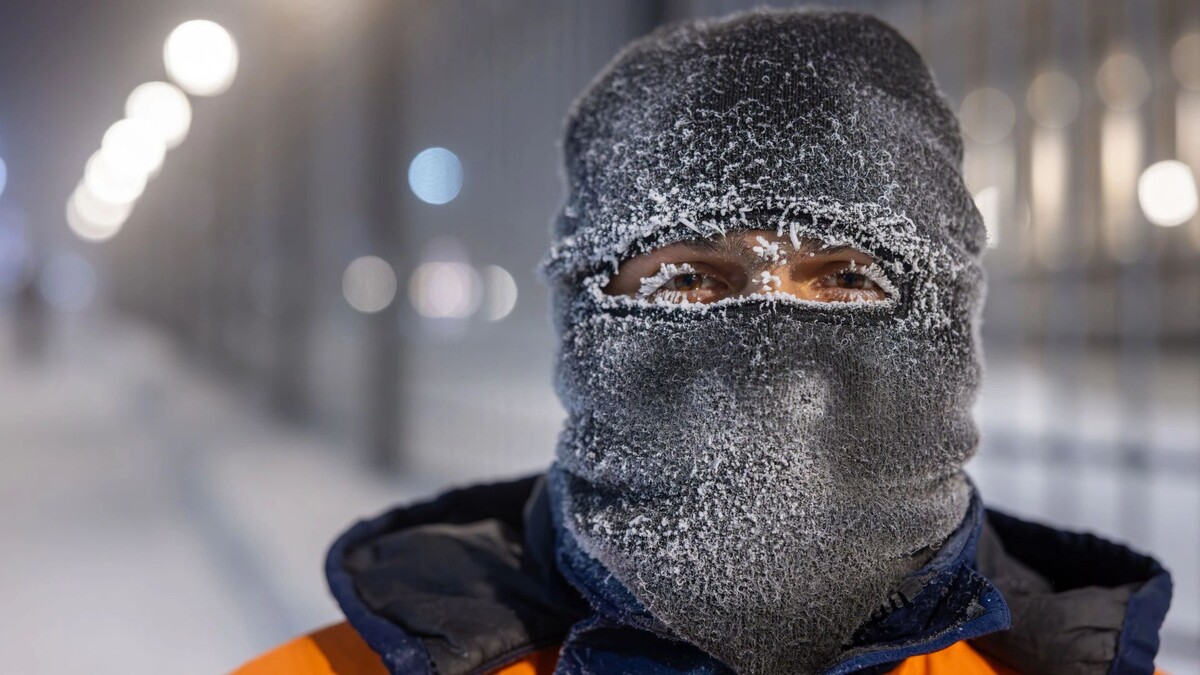    Фото: Федор Воронов / «Ямал-Медиа»