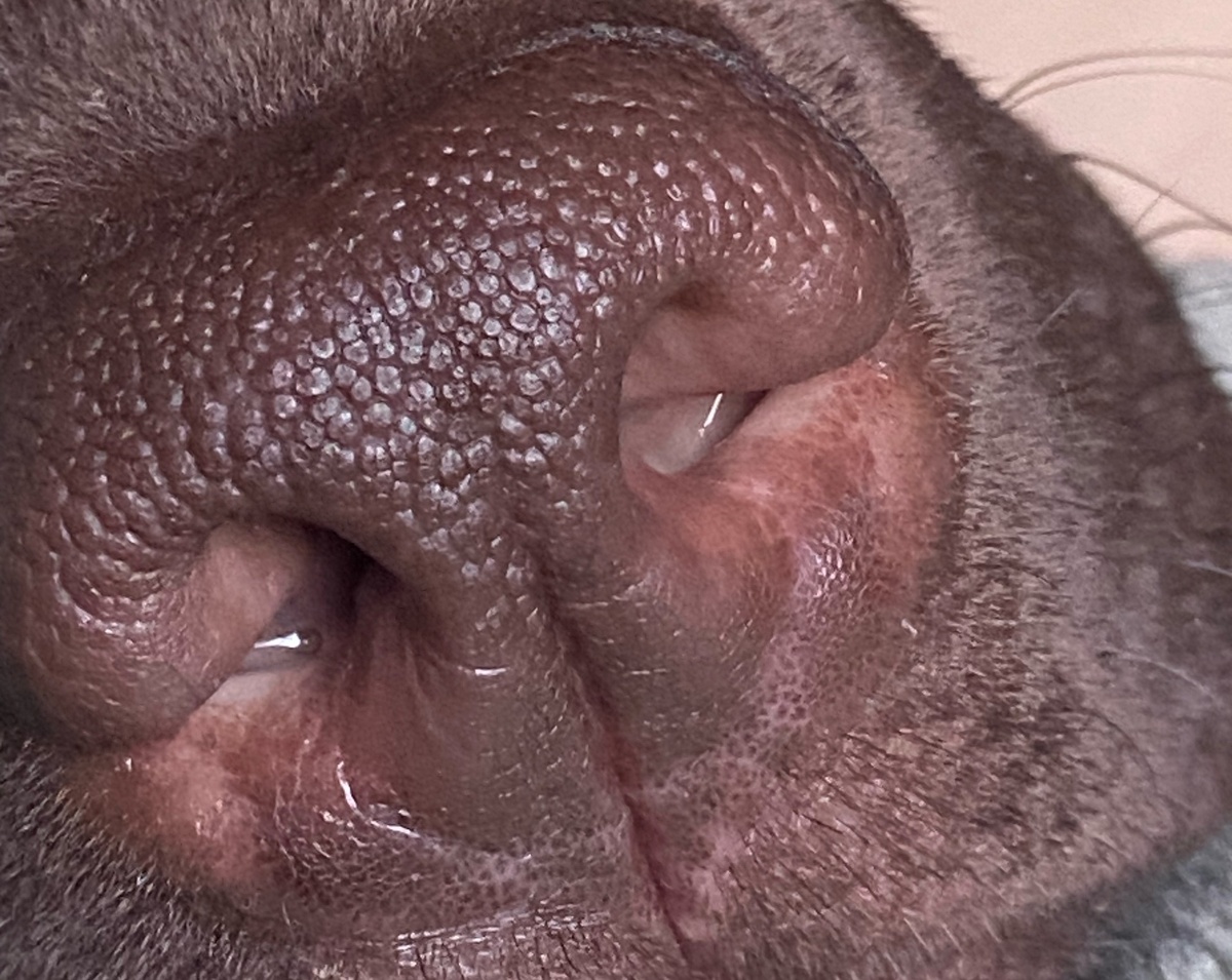    фото: © Мария Голубева