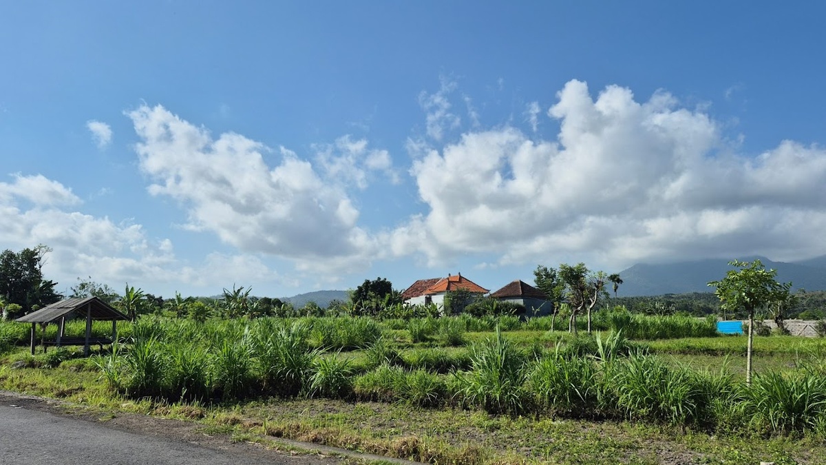 На одной из дорог Бали