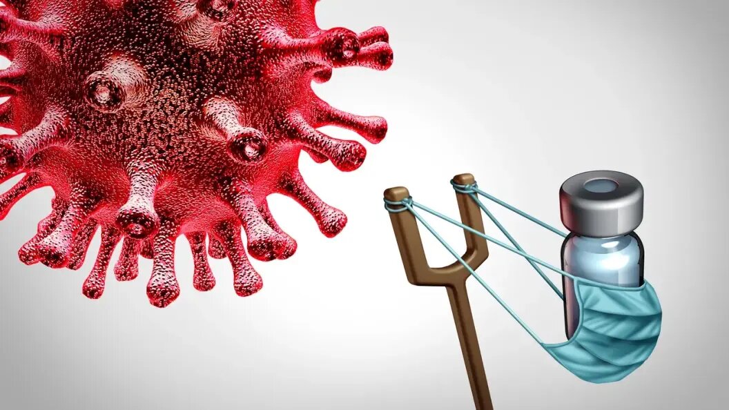    Фото: shutterstock