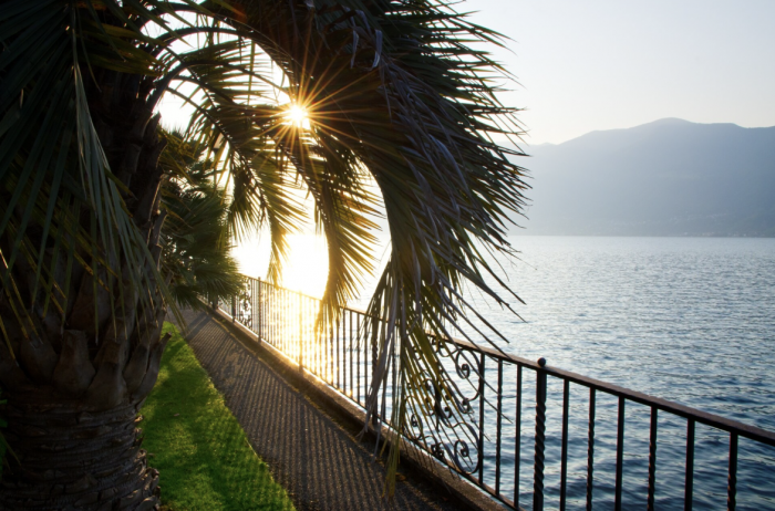    wirestock / ru.freepik.com