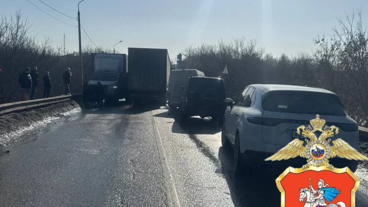    Фото: пресс-служба ГУ МВД России по Московской области / MAX