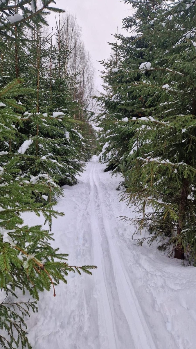 Заключительная в этом сезоне лыжная прогулка ,сегодня.