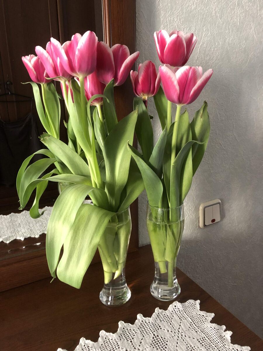 Хорошо иметь две одинаковые вазочки-стаканы, в одну нмкак, а получилось миленько.