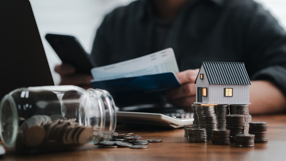    Автор фото: SORN340 Studio Images / Shutterstock / FOTODOM