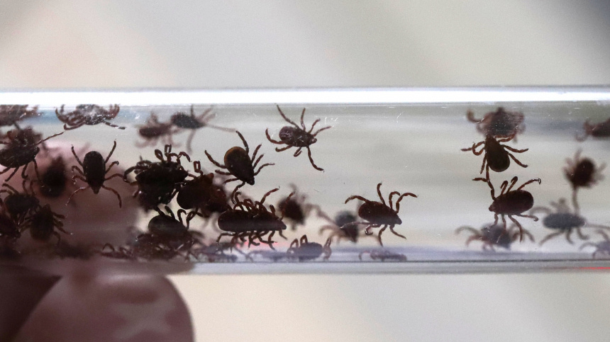    Фото: © РИА Новости/Денис Абрамов