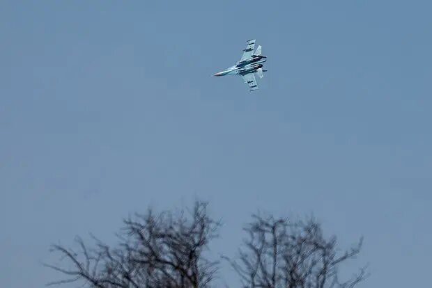    Источник: lenta.ru/ Анна