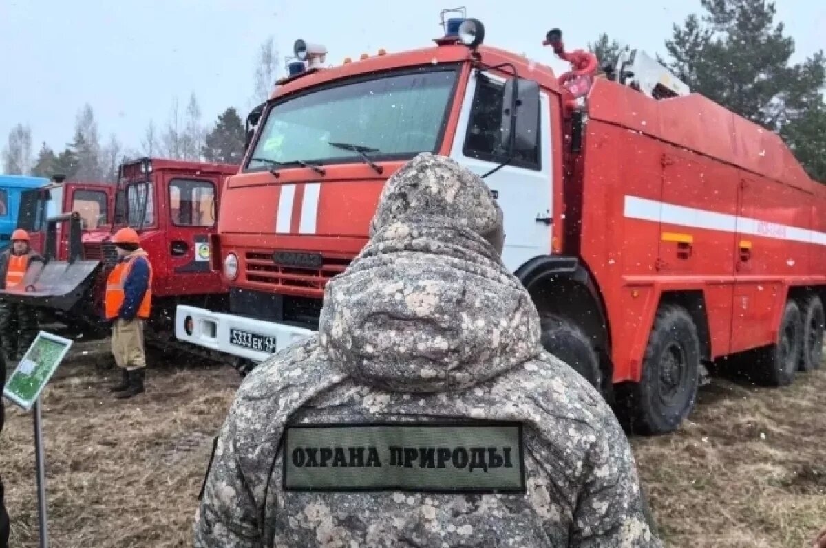    В Ленобласти с лесными пожарами будут бороться 5666 человек