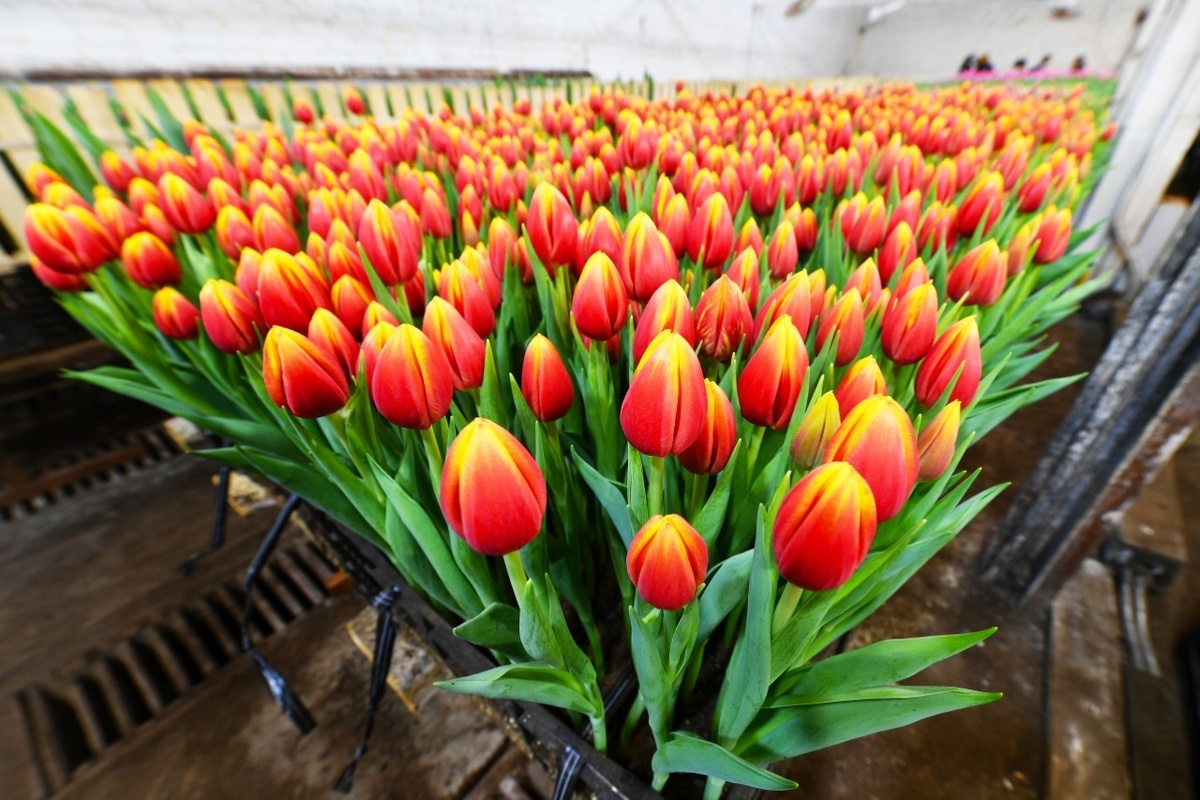    Фото: "Республика"/Сергей Юдин