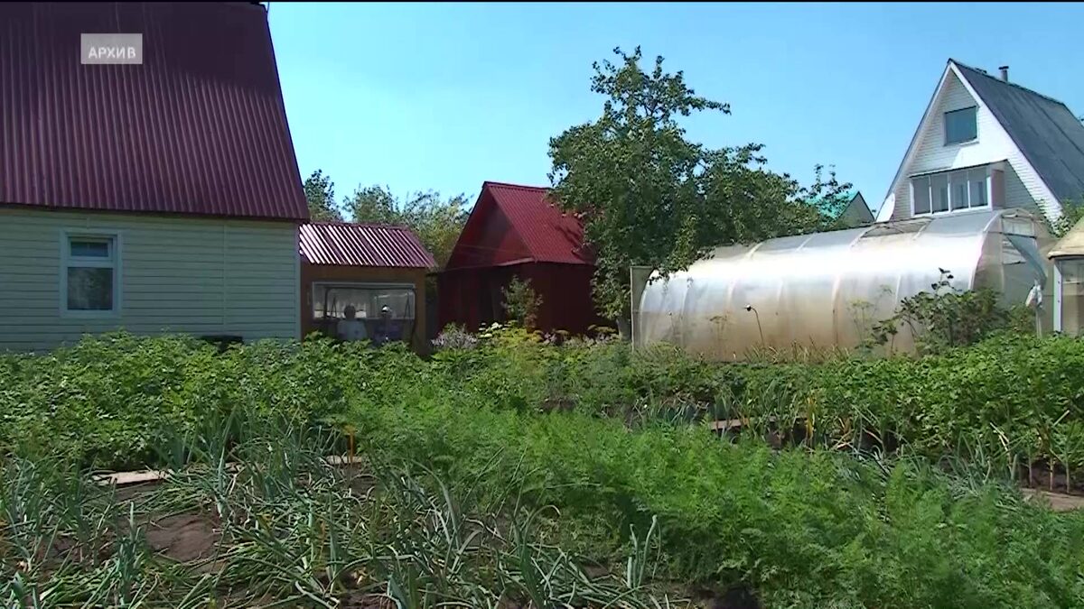    В новом выпуске программы «Уфимское время» речь пойдет о подготовке к садовому сезону