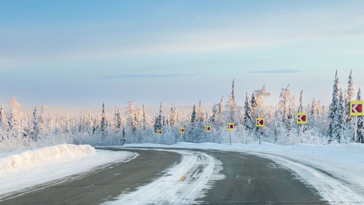   Фото: Федор Воронов/«Ямал-Медиа»