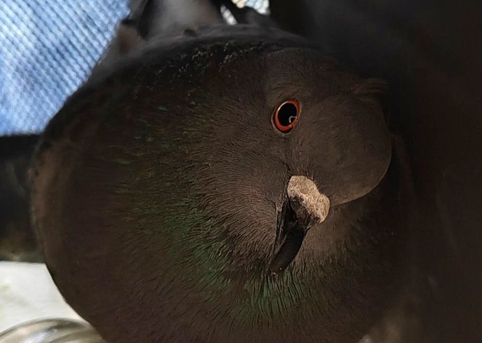     Фото из соцсетей