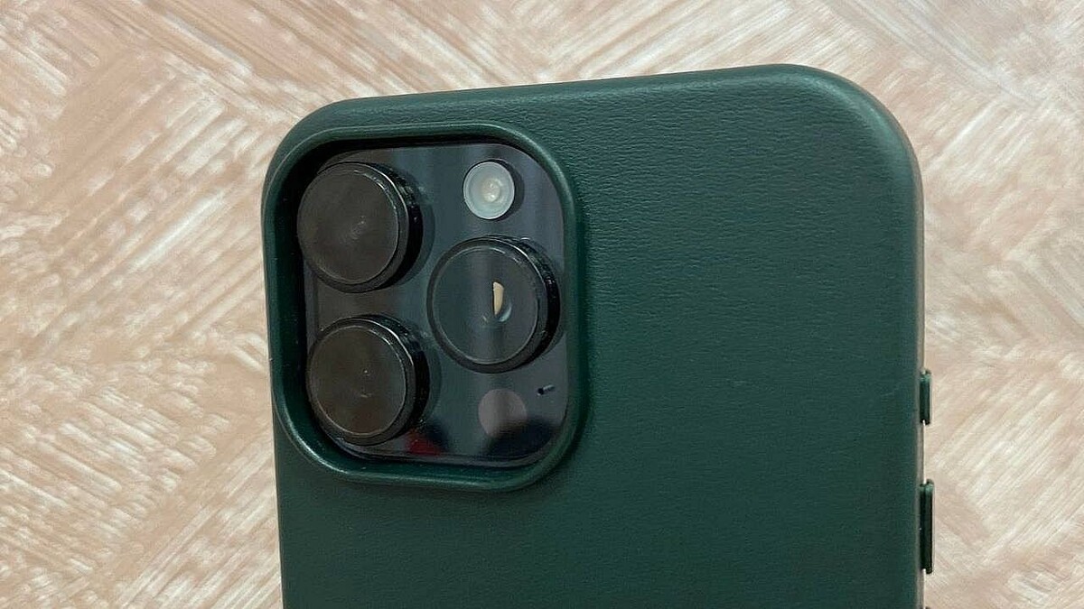    Фото: телеканал «Краснодар»