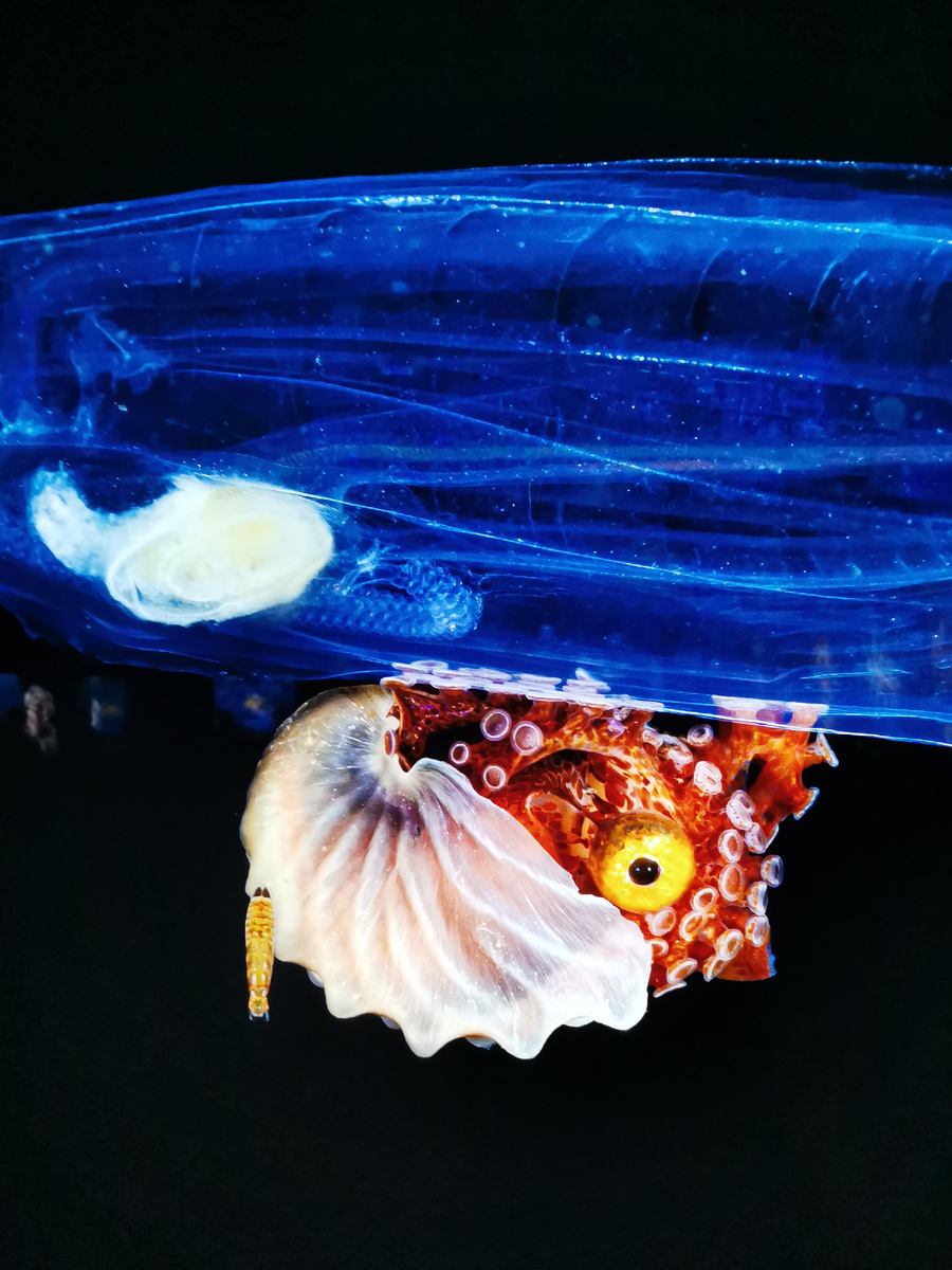 Сознание формирует и устраивает свою жизнь в материи с разных уровней осознанности.