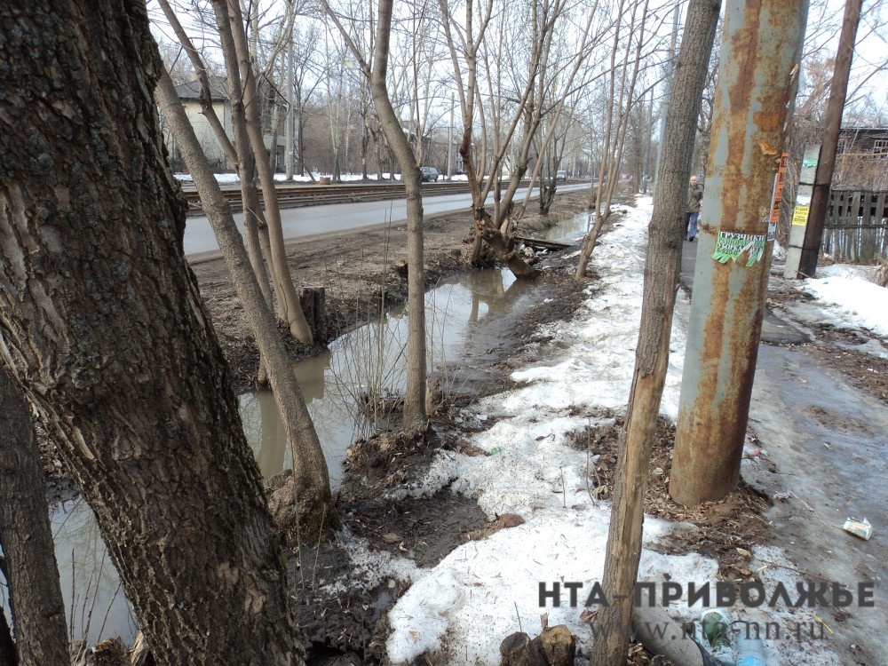    Месячник по благоустройству стартует в Пензенской области