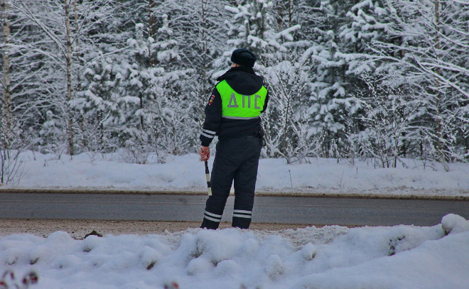    © Анастасия Илюшина / ЛенТВ24. Архивное фото