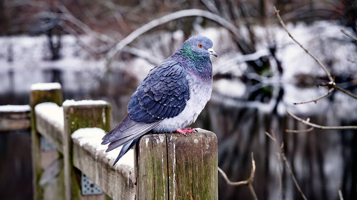    Фото: Дмитрий Дубинский / Вечерняя Москва