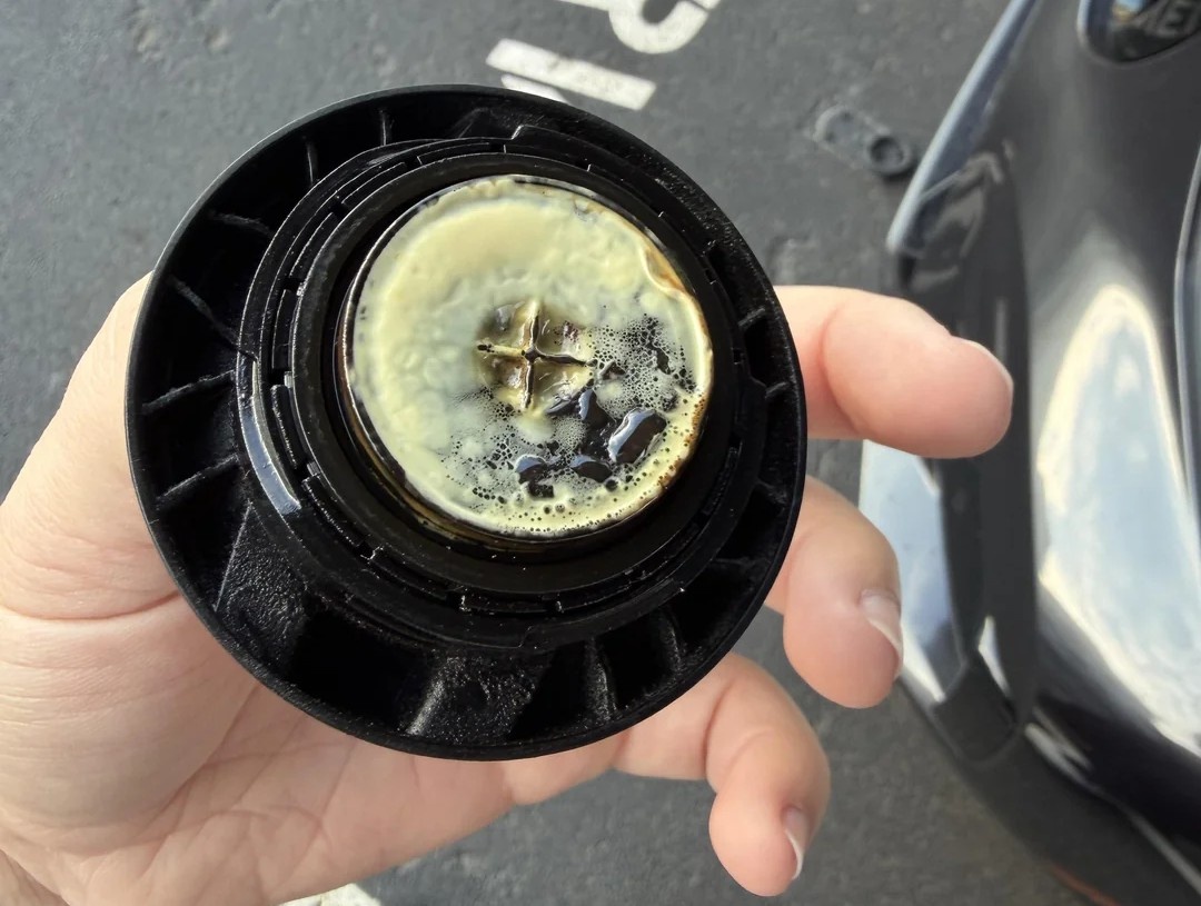 Источник reddit (пользователь RoamAntarctica)