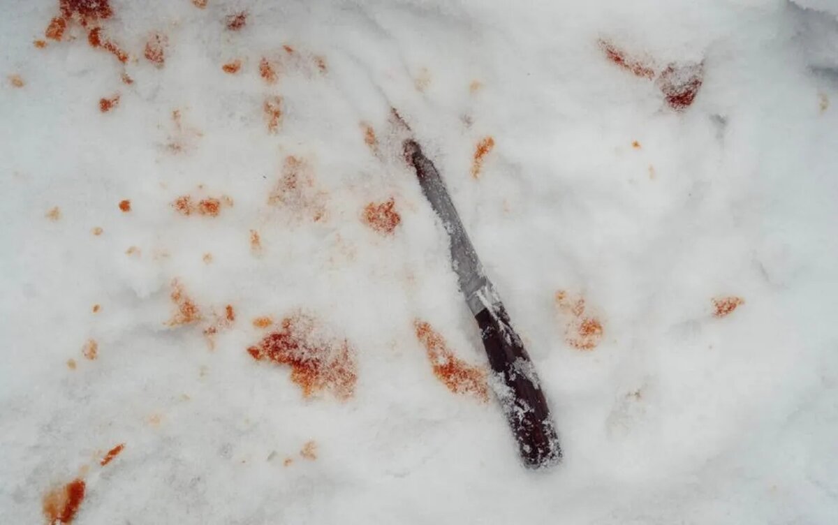    Жителя Удмуртии осудят за нападение с ножом на мать