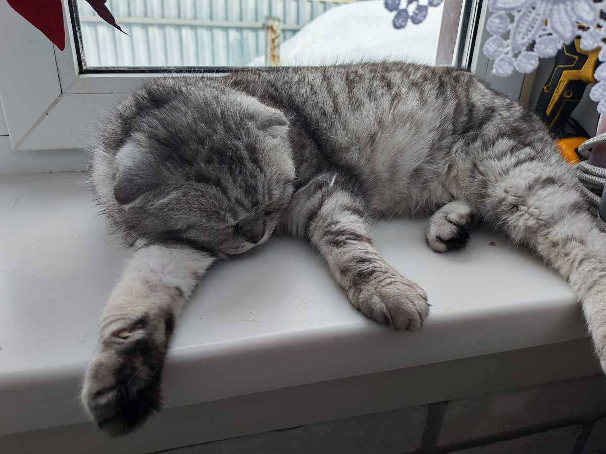 Личное фото автора канала