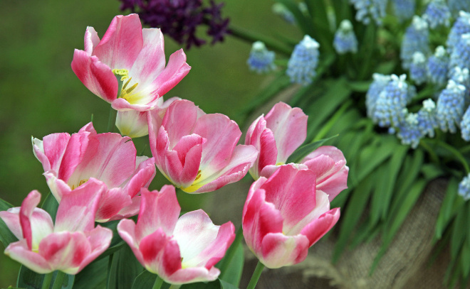    © Baltphоto/ Дарья Иванова