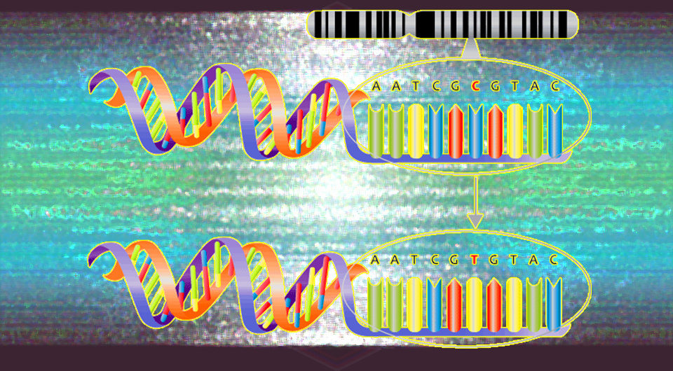   N + 1; NHS National Genetics and Genomics Education Centre / Wikimedia Commons / CC-BY-2.0