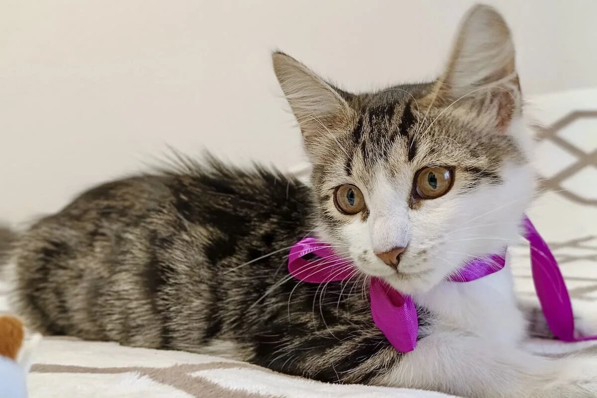 Фото: UfaTime.ru