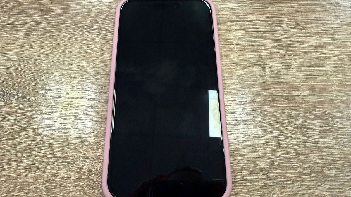    Фото: телеканал «Краснодар»