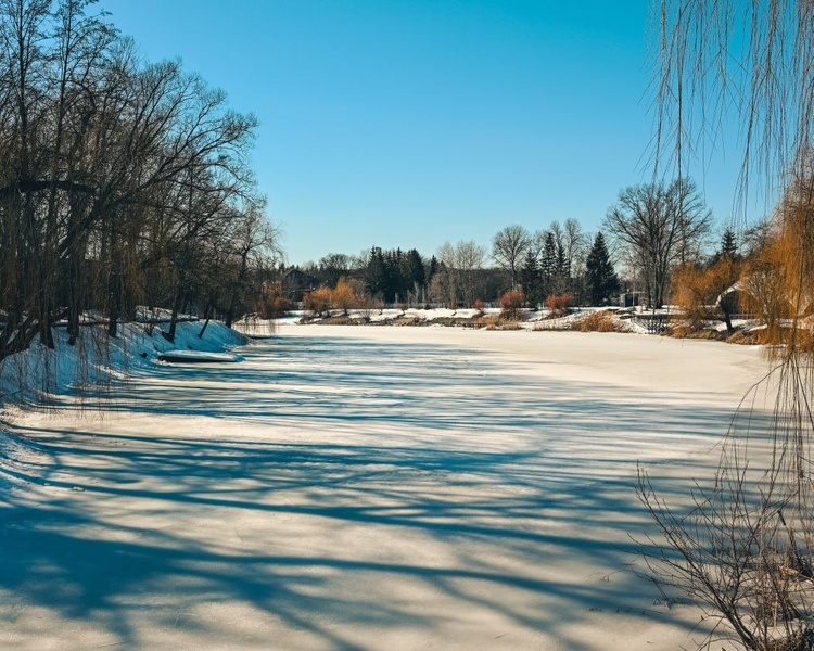     В Курской области 11 марта ожидается потепление до +14 градусов