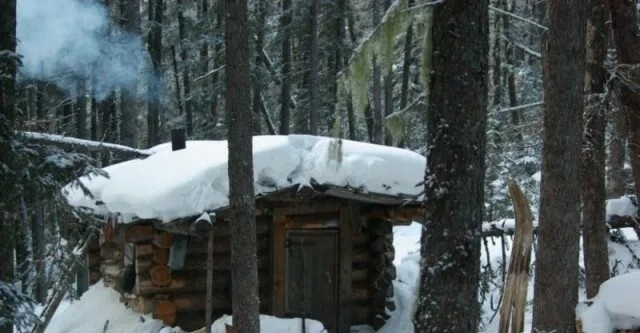 Фото из Яндекса