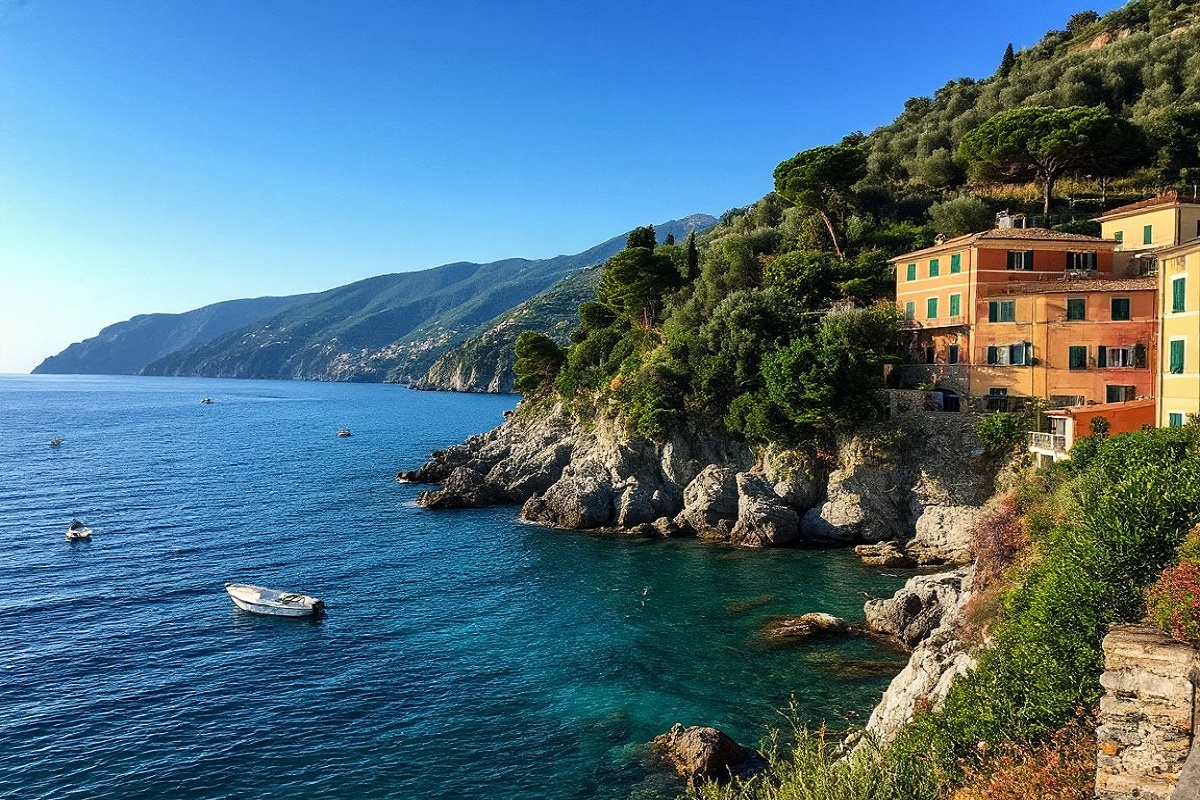    Фото: Коллаж RuNews24.ru