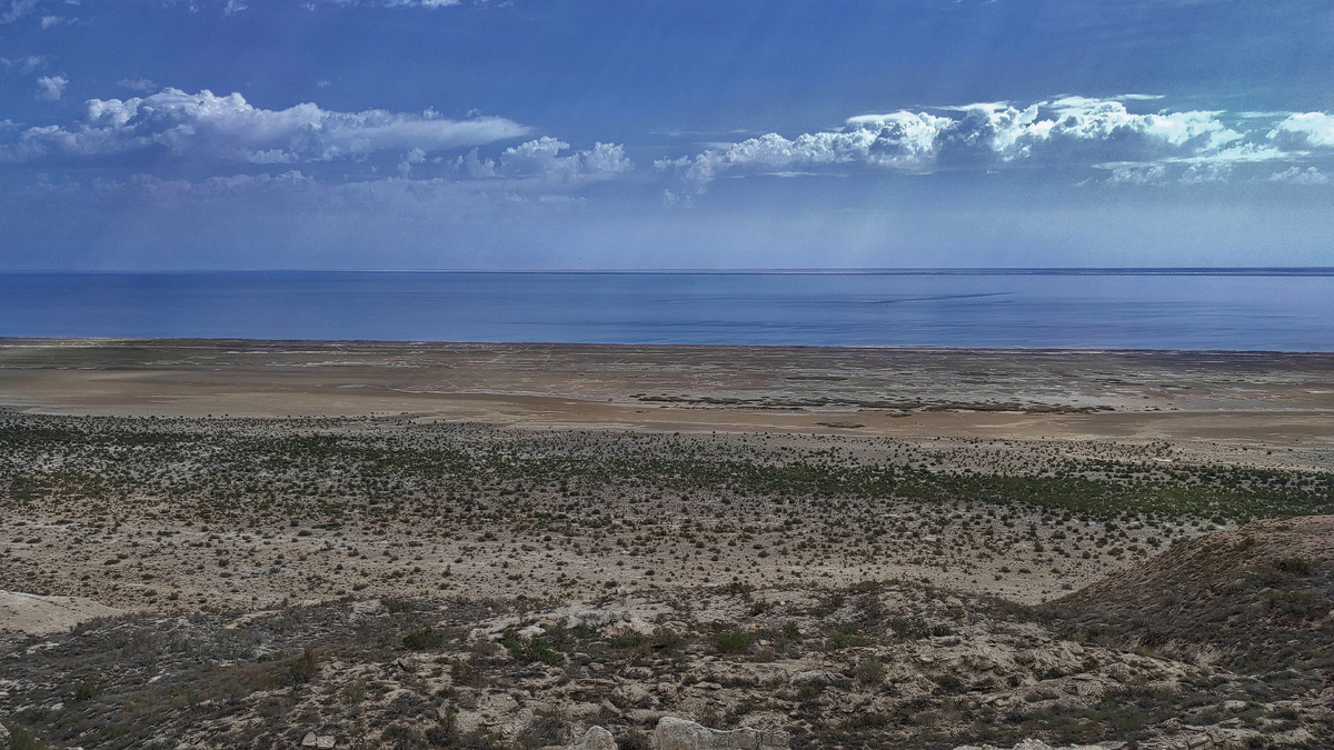 2025 год. Авторство: Danrafaliya. Собственная работа, CC BY-SA 4.0, https://commons.wikimedia.org/w/index.php?curid=149134328