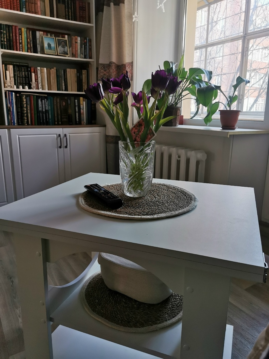 мне в этом году показались красивыми фиолетовые тюльпаны!..