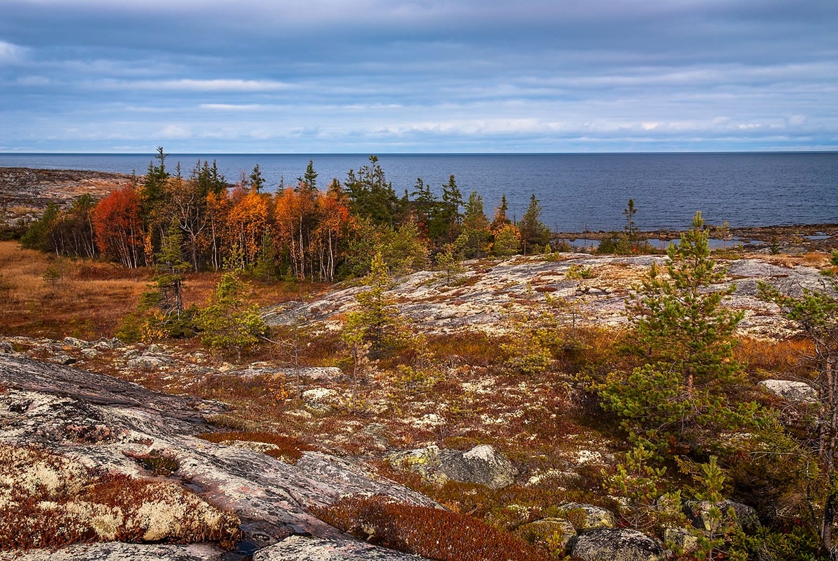 Фото Виталий Зайцев