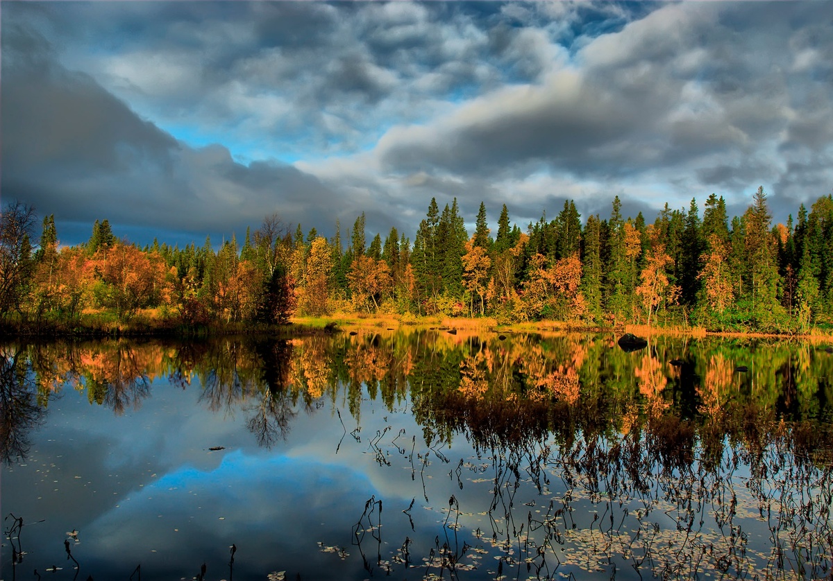 Фото Виталий Зайцев