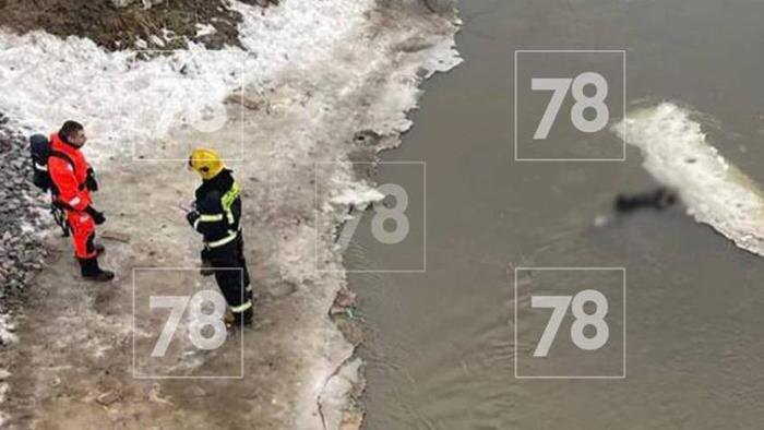 Труп молодой девушки. Фото © 78.ru