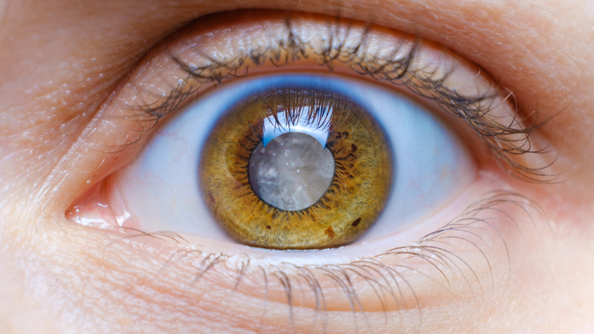    Фото: © Getty Images/Zarina Lukash; 5-tv.ru