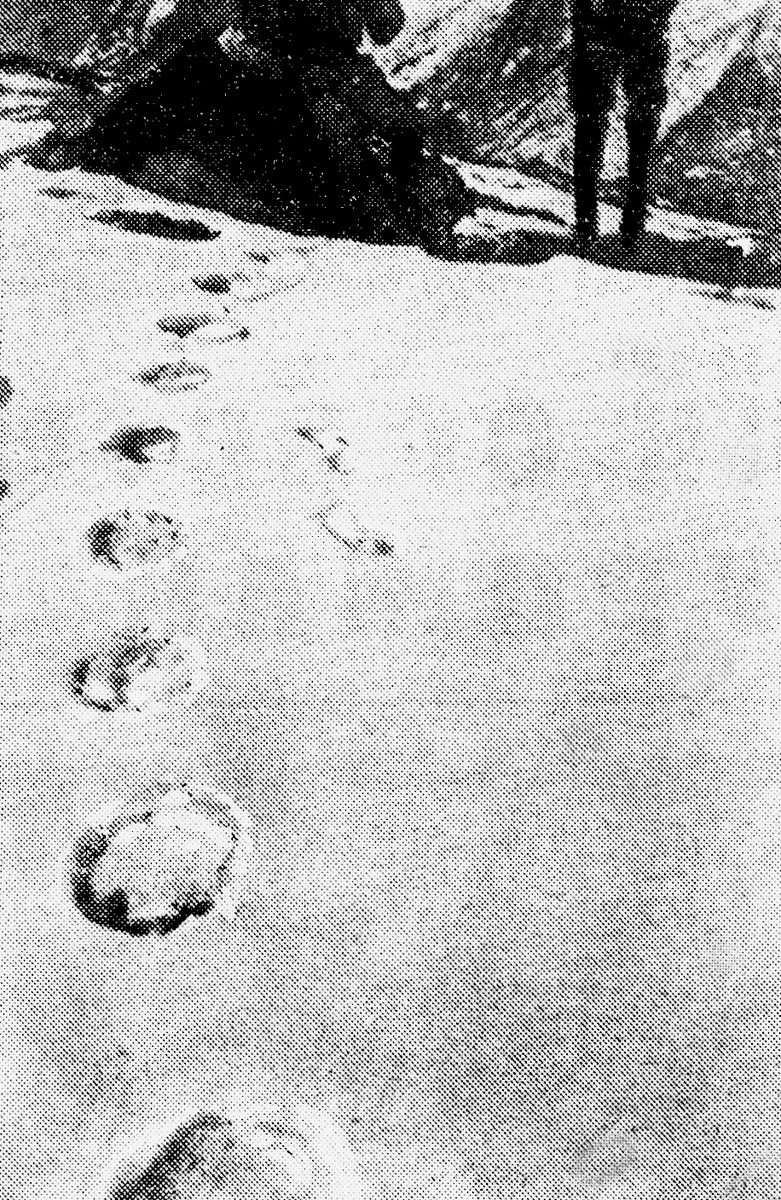 Снимок Джона Ханта 1978 года (Эверест).