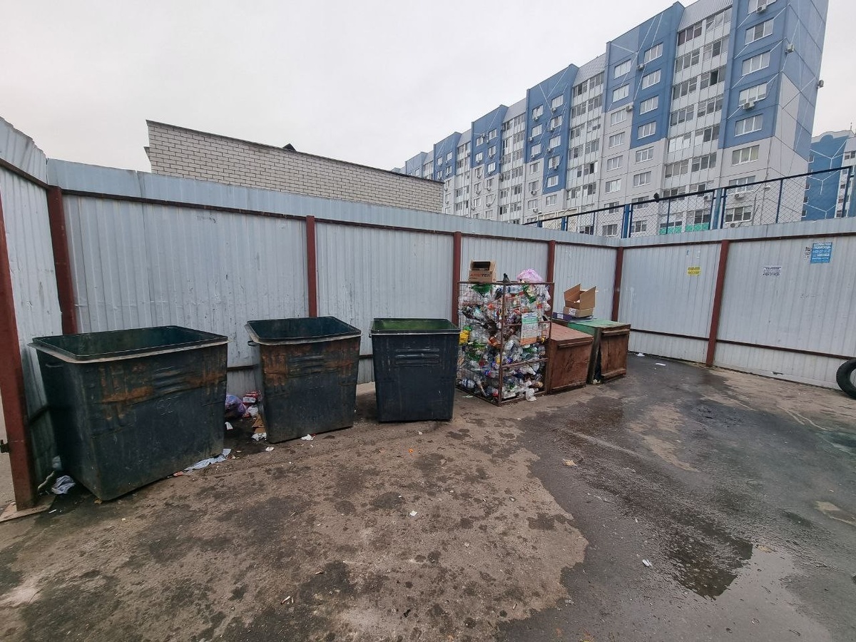 Контейнерная площадка в Воронеже