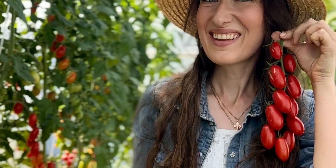 Главное не прогадать! Когда все-таки сеять томаты?